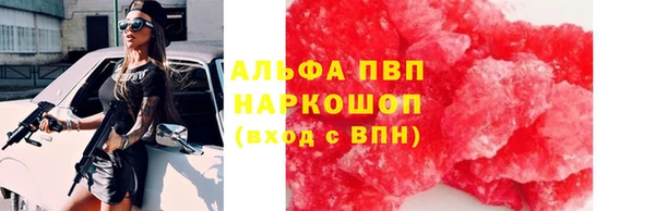 стаф Баксан