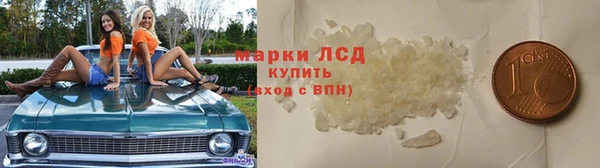 стаф Баксан