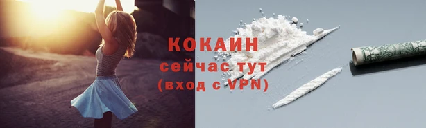 стаф Баксан