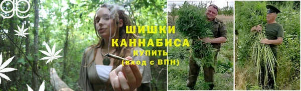 тгк Балабаново