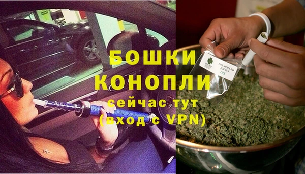 стаф Балахна