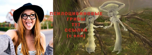 стаф Баксан