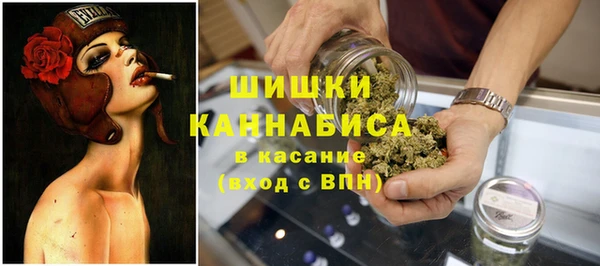 стаф Балахна