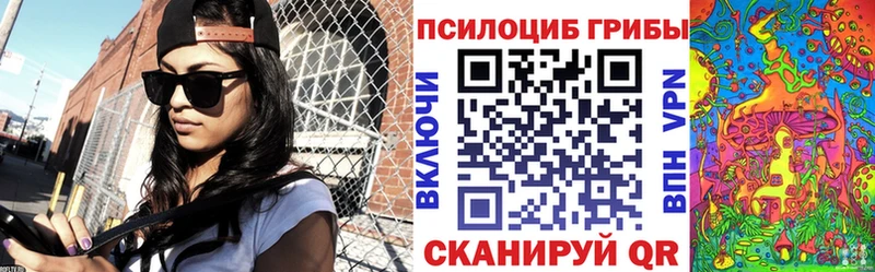 Псилоцибиновые грибы Psilocybe  цена   Горячеводский 